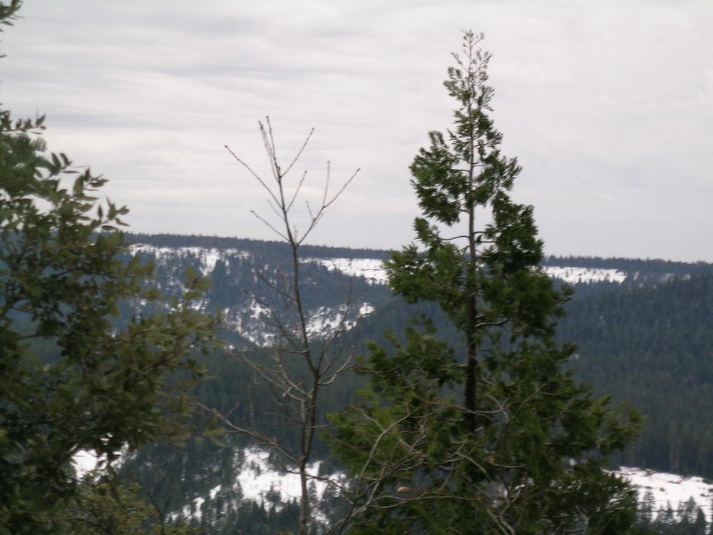 Photo from Chalk Bluff Rd