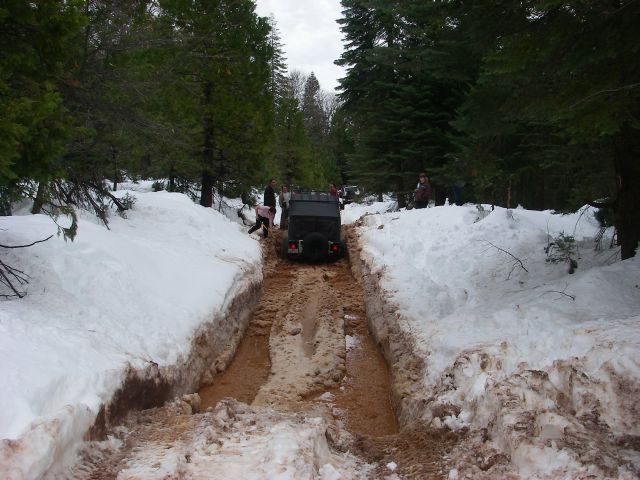 Feb21Snow038