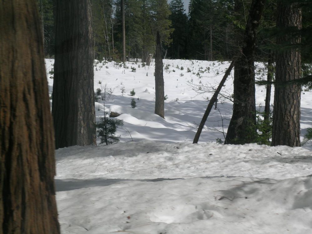 Photo from Chalk Bluff Rd