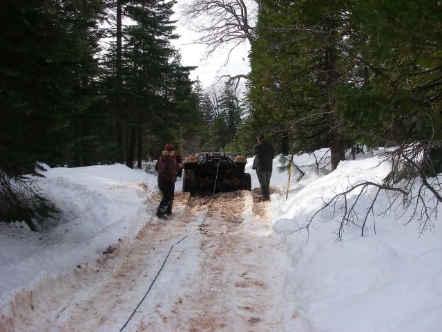 Feb21Snow033