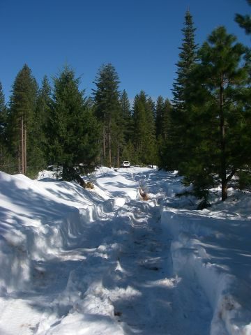 Feb21Snow010