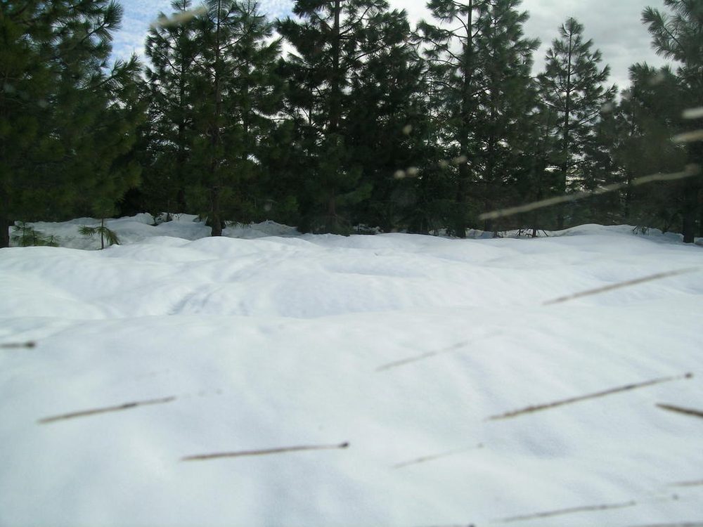 Photo from Chalk Bluff Rd