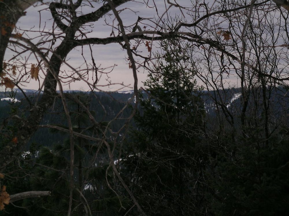 Photo from Chalk Bluff Rd