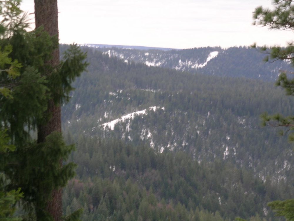 Photo from Chalk Bluff Rd