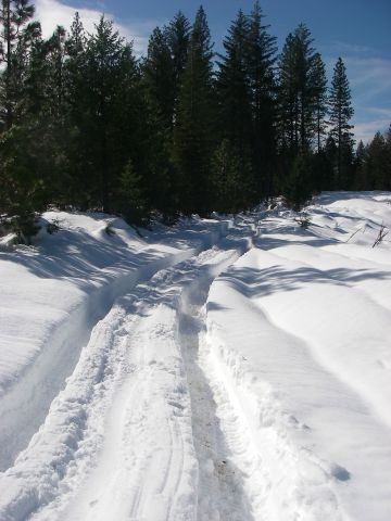 Feb21Snow009