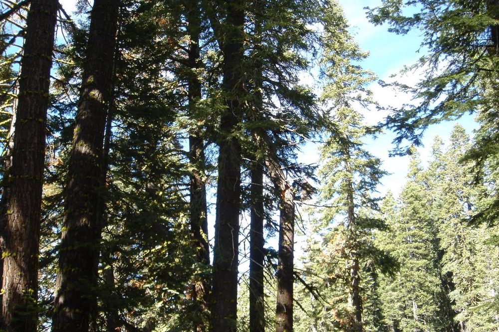 Photo from Strawberry Trail