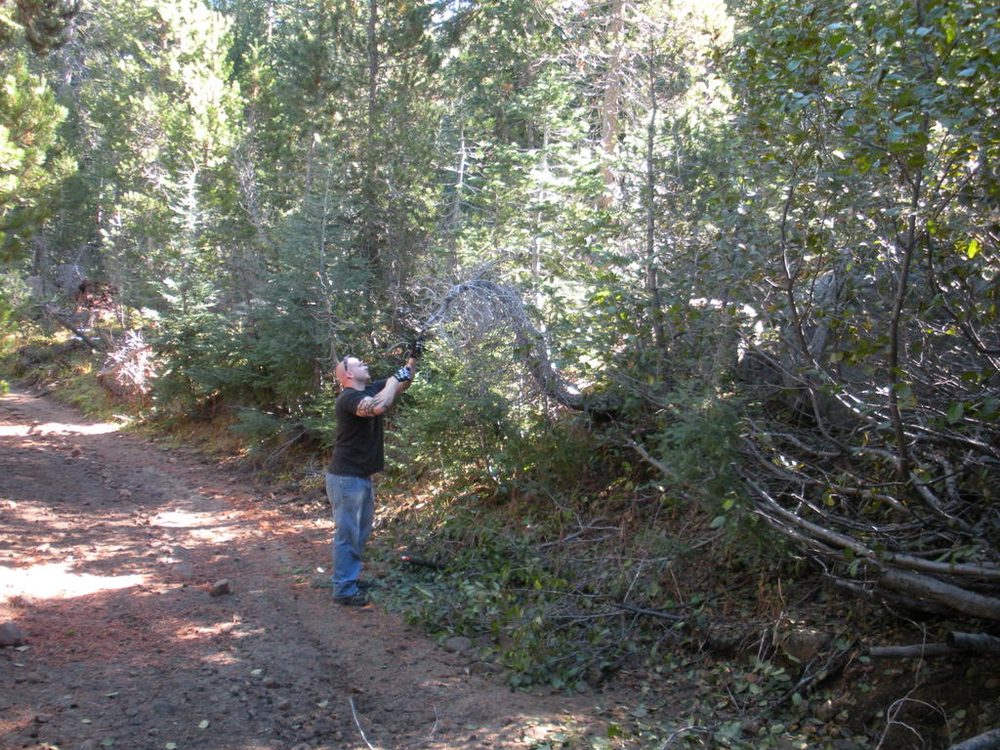 Photo from Strawberry Trail