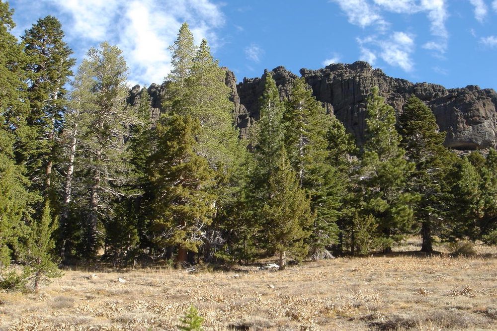 Photo from Strawberry Trail