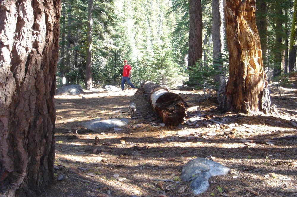 Photo from Strawberry Trail
