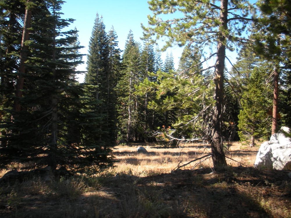 Photo from Strawberry Trail
