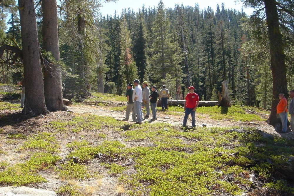 Photo from Strawberry Trail