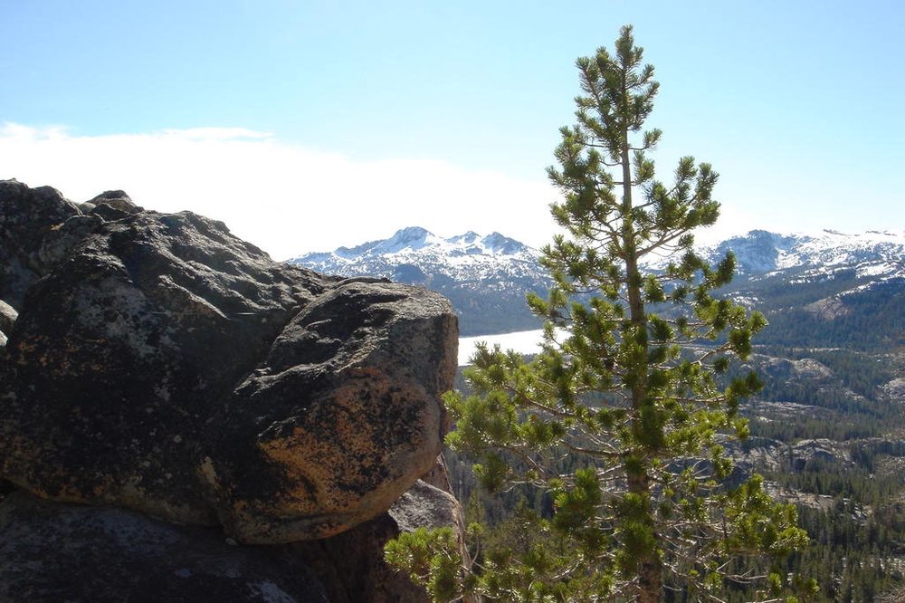 Photo from Strawberry Trail
