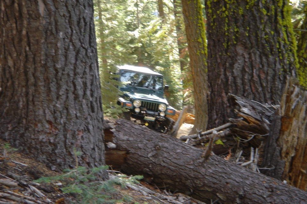 Photo from Strawberry Trail