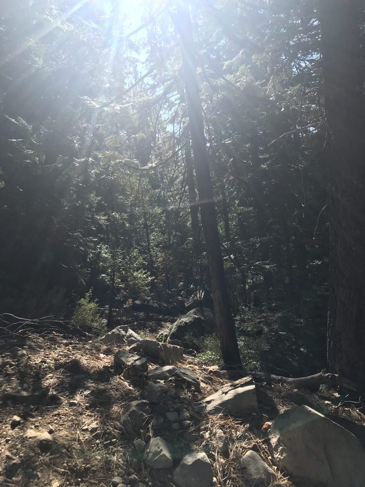 Photo from Signal Peak Trail