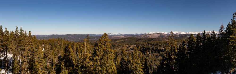 CF1_0940-Pano