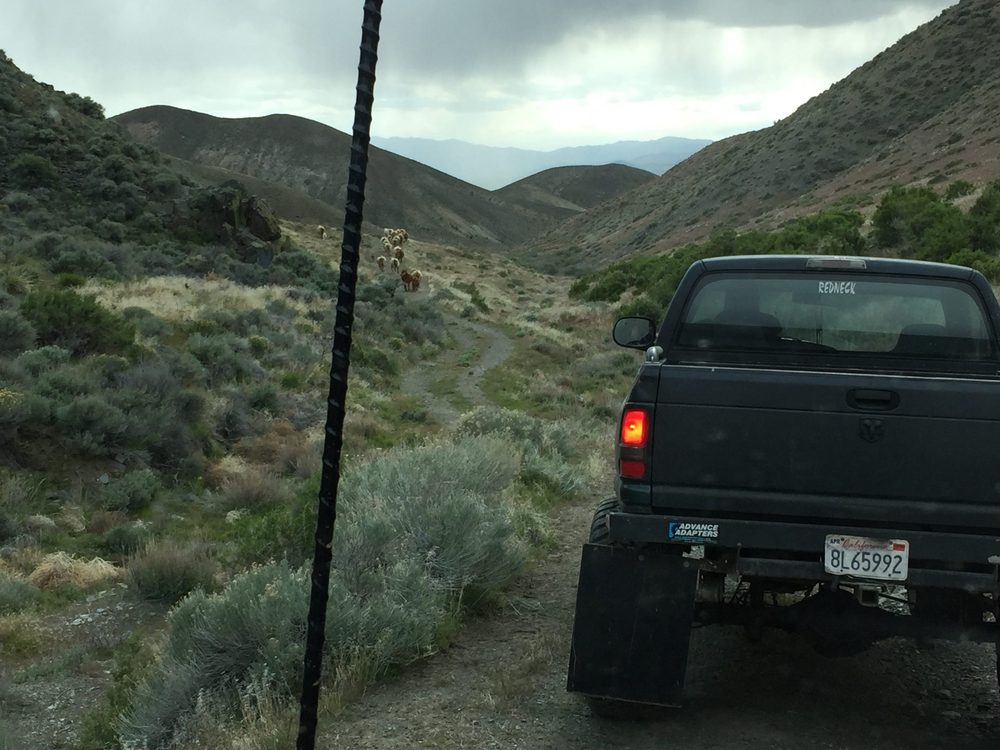 Photo from Silver State Expedition
