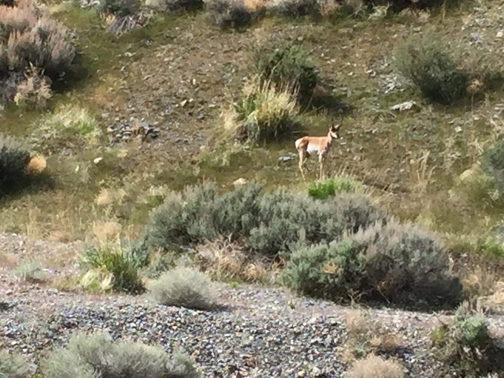 Photo from Silver State Expedition