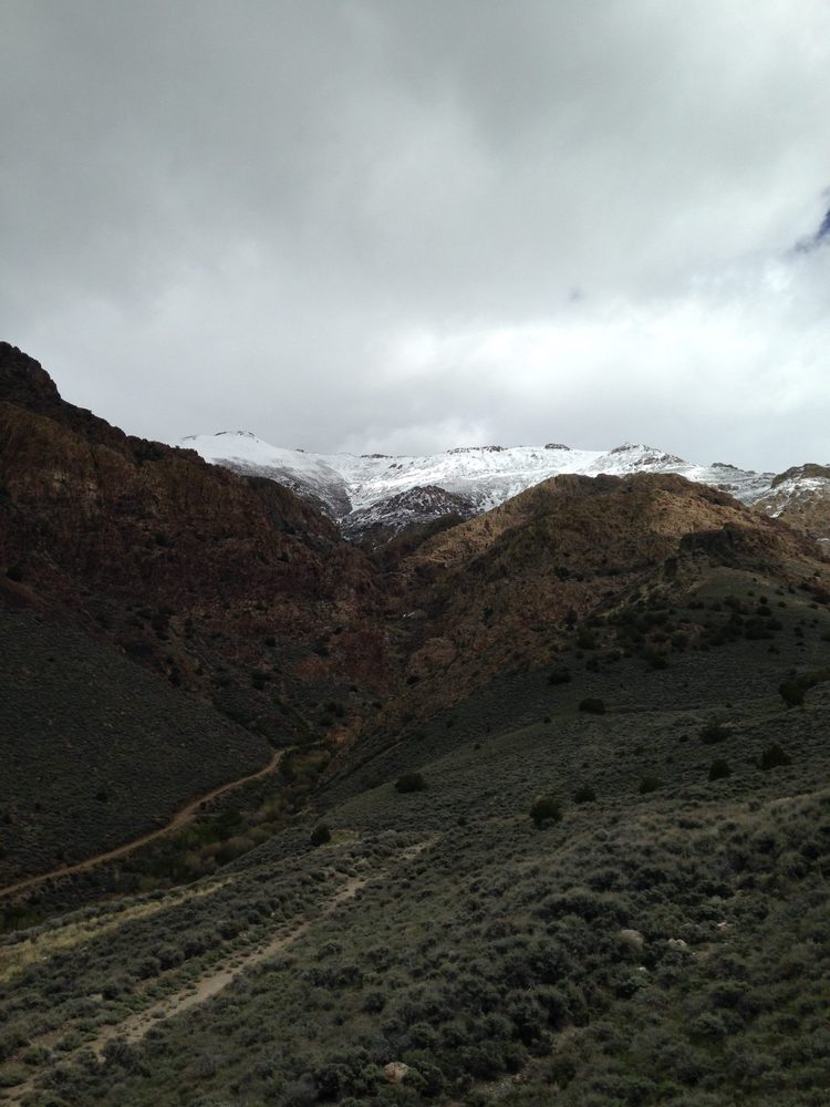 2016-04-30-13.52.51