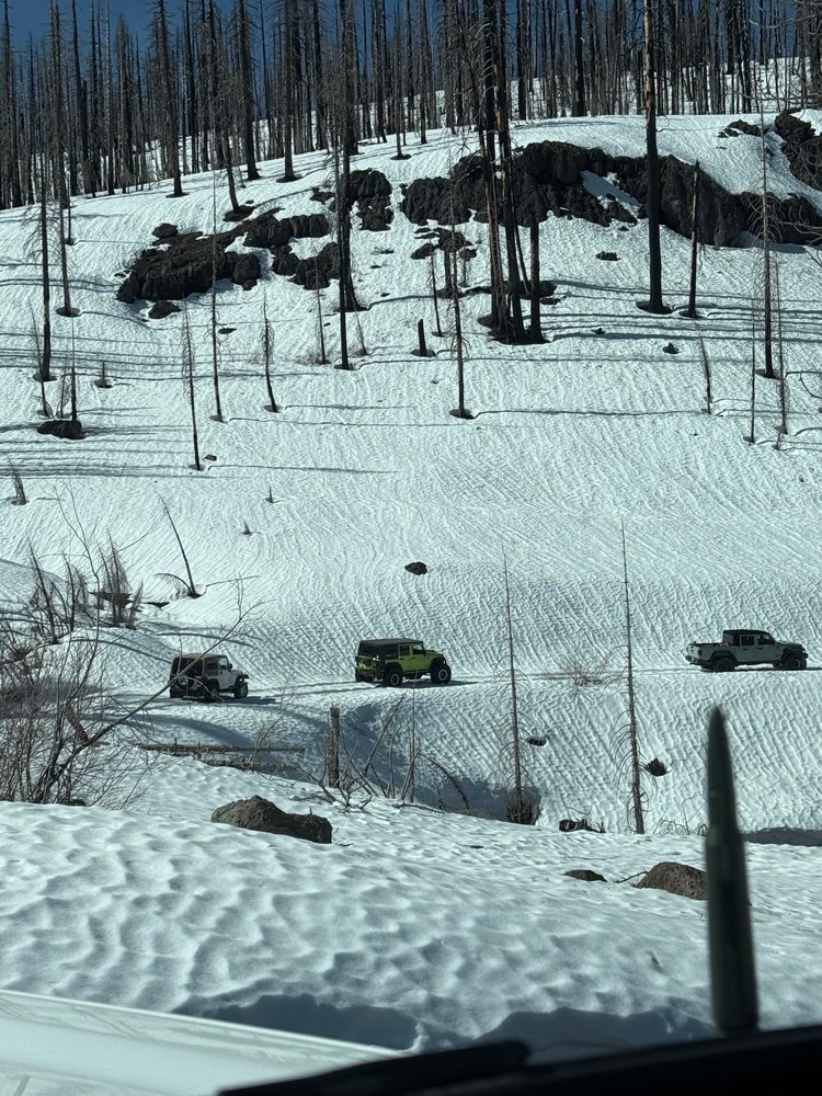 Photo from MET Snow Patrol #2