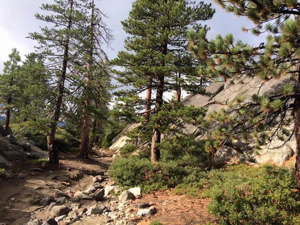 Photo from Slick Rock Trail