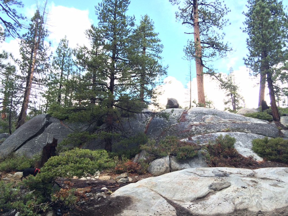 Photo from Slick Rock Trail