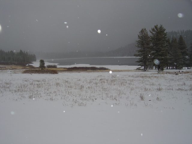 Photo from Fordyce Trail