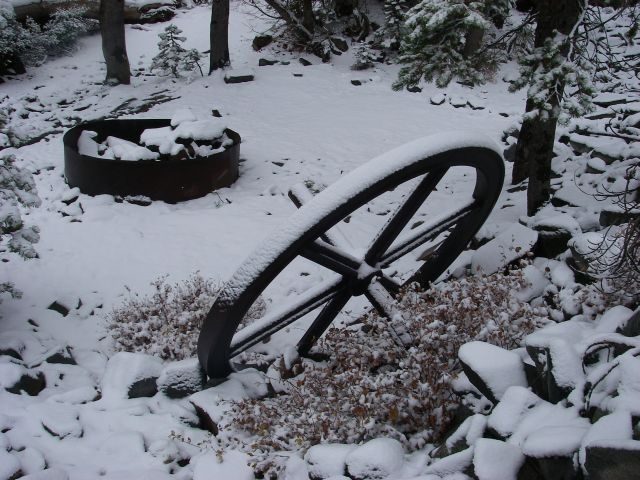 fordyce034