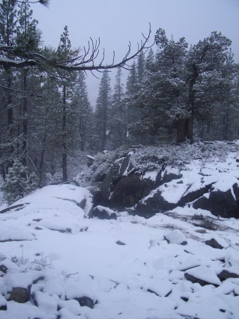 imgp5733