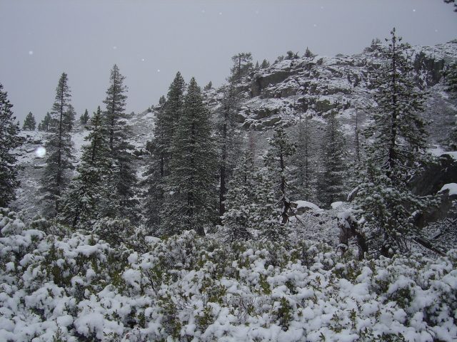 Photo from Fordyce Trail