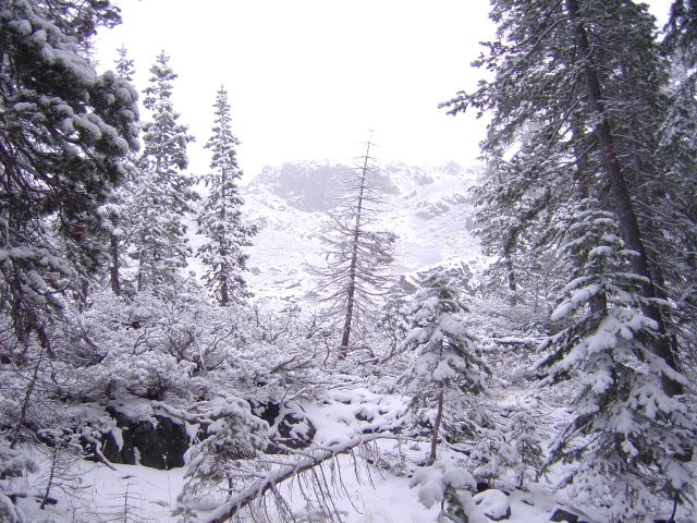 Photo from Fordyce Trail
