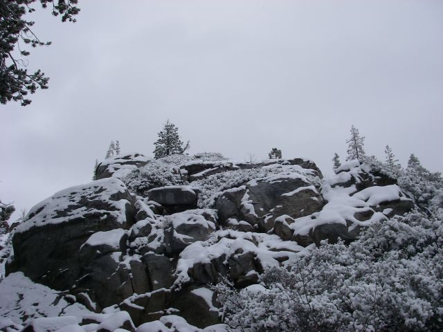 fordyce080
