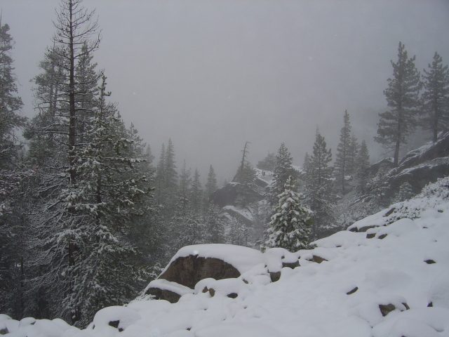 Photo from Fordyce Trail