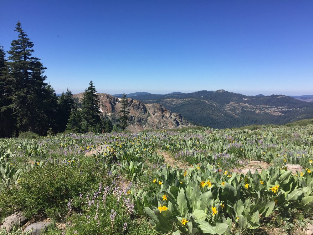 Photo from Snake Lake