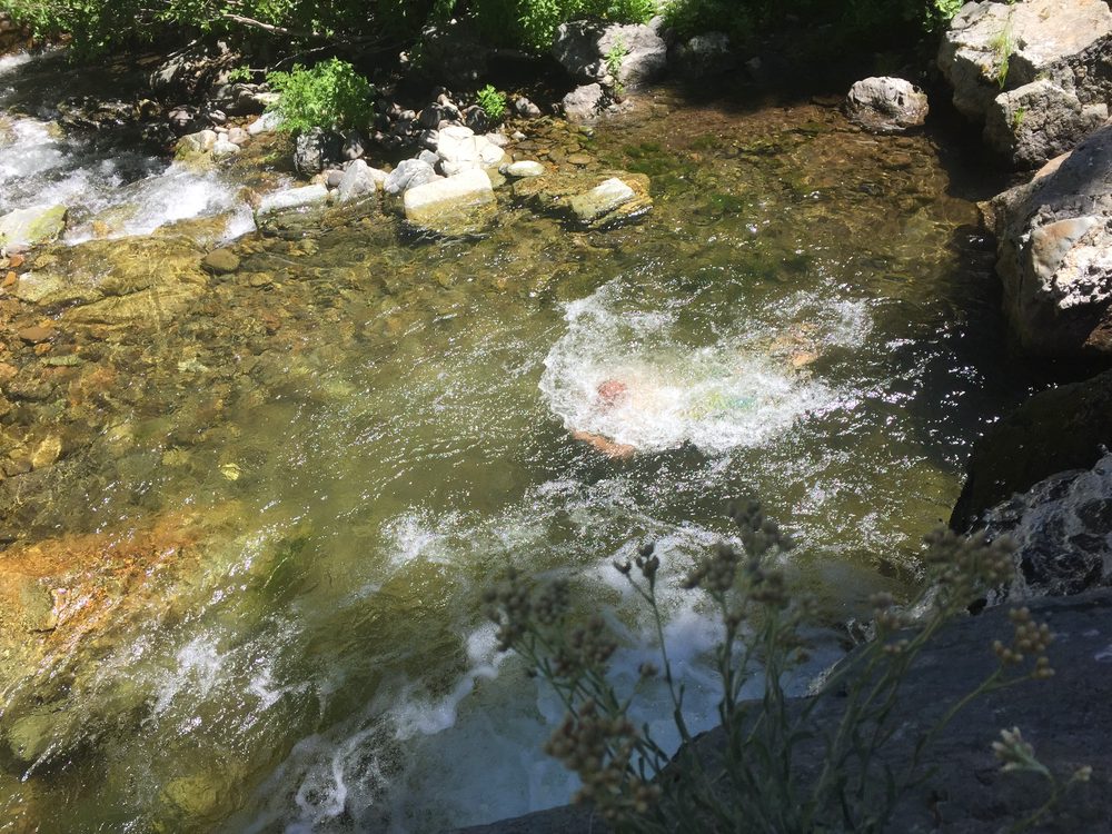 Photo from Snake Lake