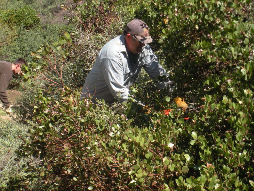 Photo from Strawberry Maintenance