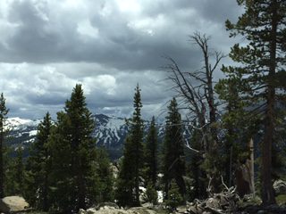 Photo from Strawberry Trail Patrol