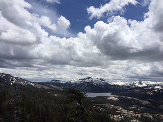 Photo from Strawberry Trail Patrol