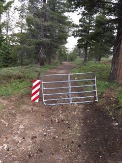 Photo from Strawberry Trail Patrol