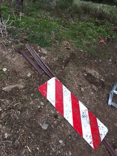 Photo from Strawberry Trail Patrol