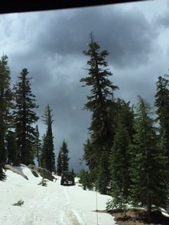 Photo from Strawberry Trail Patrol