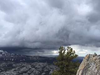 Photo from Strawberry Trail Patrol