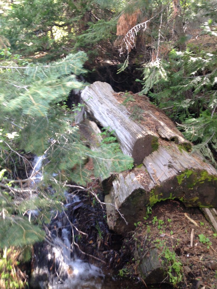 Photo from Strawberry Trail Patrol