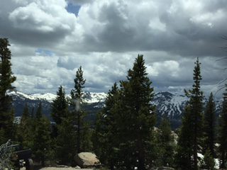 Photo from Strawberry Trail Patrol