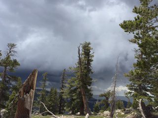 Photo from Strawberry Trail Patrol