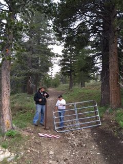 Photo from Strawberry Trail Patrol