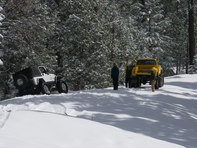 snowpatrol004