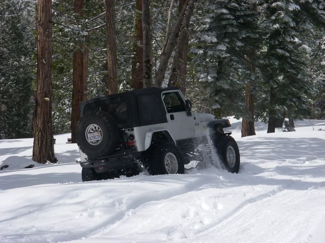 snowpatrol008