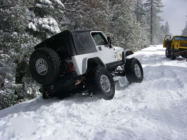 snowpatrol005
