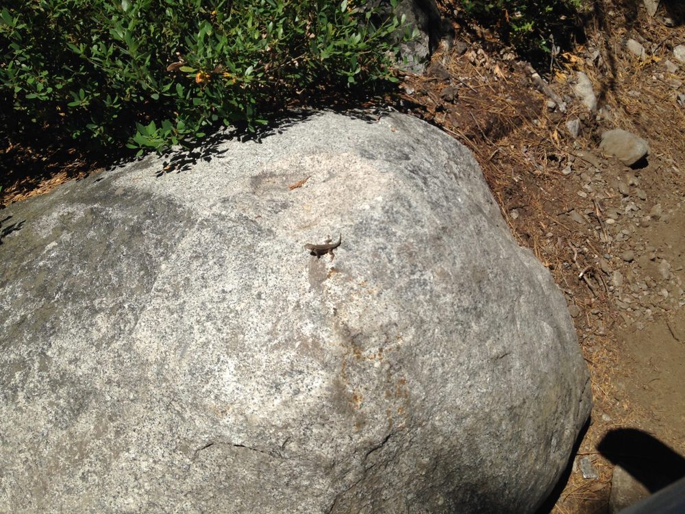 Photo from Fordyce Trail - Full