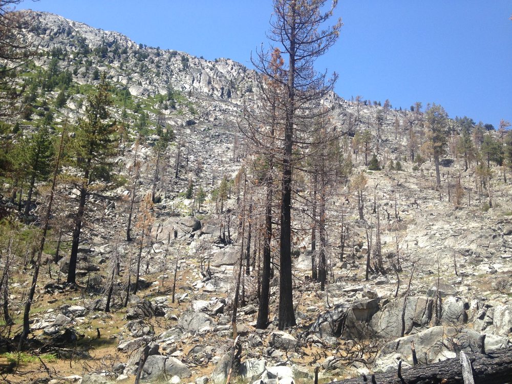 Photo from Fordyce Trail - Full